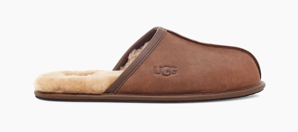 Ugg Slipper Mens - Ugg Scuff Slip-On Brown - 021VYBLIQ